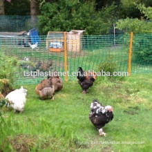 Plastic Barrirer Fence Netting. Dog, Pet, Chicken, Event Fencing